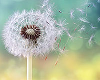 airflow-1