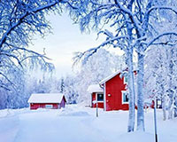 arctic-3