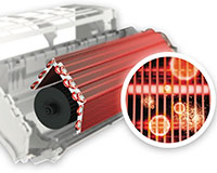 mold-guard-4