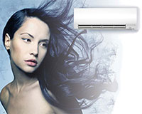 msz-fh-design-1