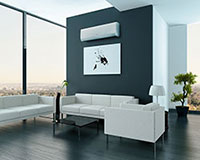 rxb-design-1