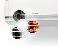 smartmold-guard-1