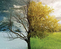 temperature-7