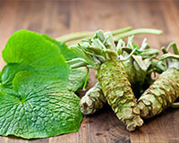 wasabi