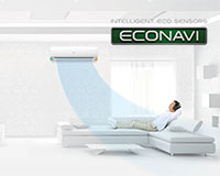z-skem-econavi